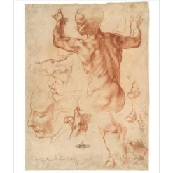 The Met Store ART IS...* Met Publications|Art History & Reference