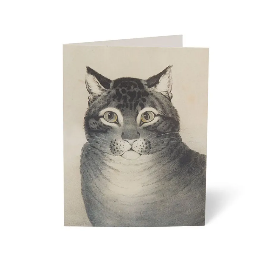 The Met Store Cats of The Met Notecards* Notecards & Correspondence