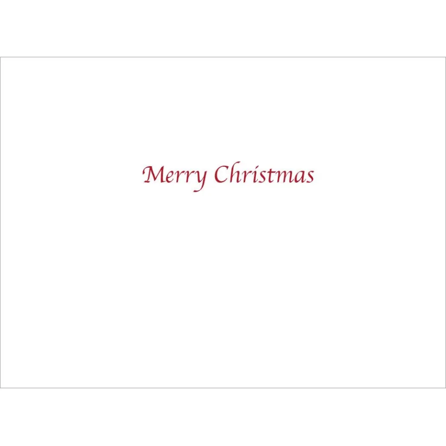 The Met Store Mars: Nativity Holiday Cards* Holiday Cards