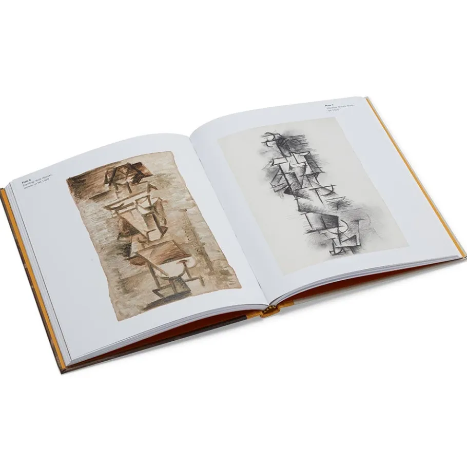 The Met Store Picasso: A Cubist Commission in Brooklyn* Coffee Table Books|Met Publications
