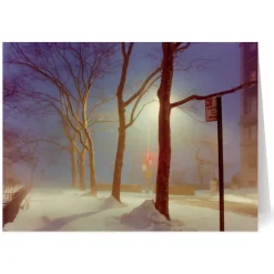 The Met Store Staller: Sutton Place, New York City Holiday Cards* Holiday Cards