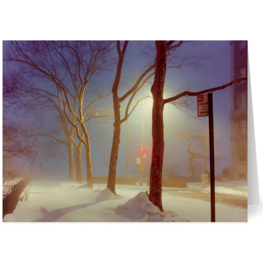 The Met Store Staller: Sutton Place, New York City Holiday Cards* Holiday Cards