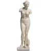 The Met Store Statue of Aphrodite Sculpture* Sculpture