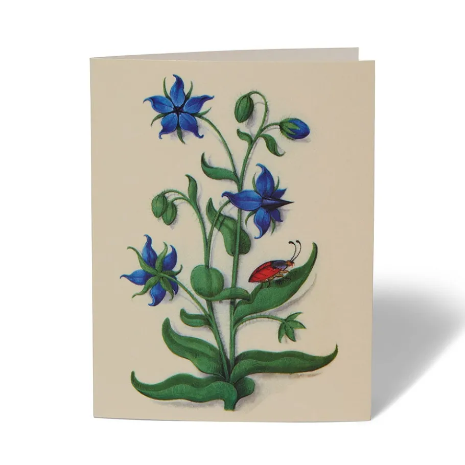 The Met Store The Met Cloisters Garden Notecards* Notecards & Correspondence