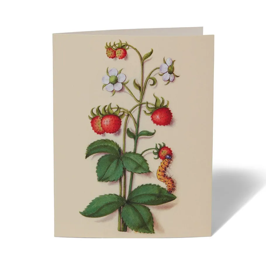 The Met Store The Met Cloisters Garden Notecards* Notecards & Correspondence
