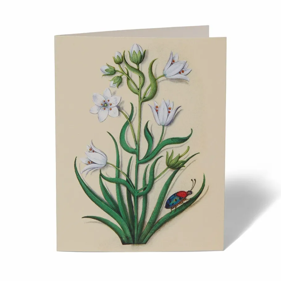 The Met Store The Met Cloisters Garden Notecards* Notecards & Correspondence