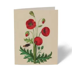 The Met Store The Met Cloisters Garden Notecards* Notecards & Correspondence