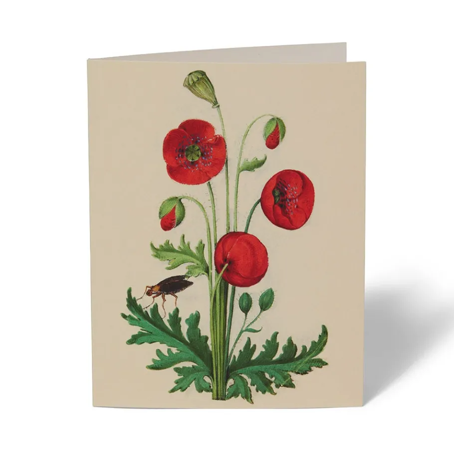 The Met Store The Met Cloisters Garden Notecards* Notecards & Correspondence