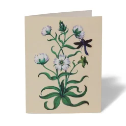 The Met Store The Met Cloisters Garden Notecards* Notecards & Correspondence