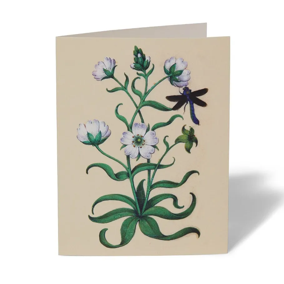 The Met Store The Met Cloisters Garden Notecards* Notecards & Correspondence