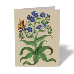 The Met Store The Met Cloisters Garden Notecards* Notecards & Correspondence